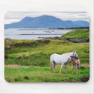 Die Pferde von Connemara   Galway, Irland Mousepad