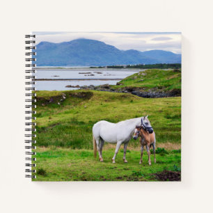 Die Pferde von Connemara Galway, Irland Notizblock