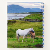 Die Pferde von Connemara | Galway, Irland Notizblock (Rückseite)