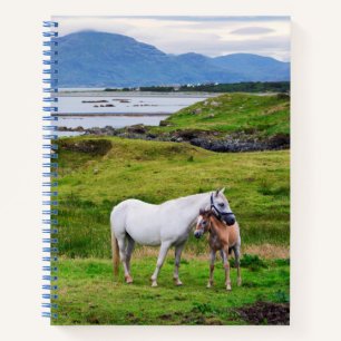 Die Pferde von Connemara Galway, Irland Notizblock