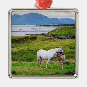 Die Pferde von Connemara   Galway, Irland Ornament Aus Metall