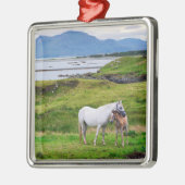 Die Pferde von Connemara | Galway, Irland Ornament Aus Metall (Links)