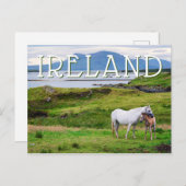 Die Pferde von Connemara | Galway, Irland Postkarte (Vorne/Hinten)