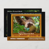 Die Pgymy ThreeToed Sloth ist von entscheidender B Postkarte (Vorne/Hinten)