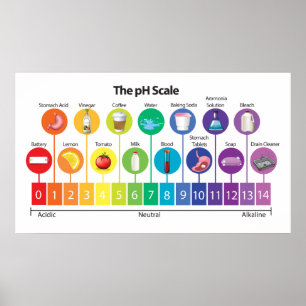 Die pH-Skala Poster