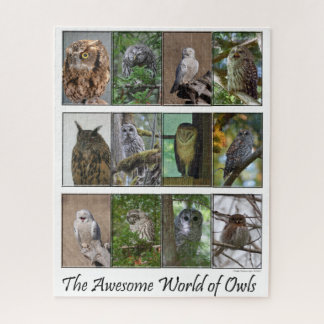 Die Phantastische Welt des Owls-Puzzles Puzzle