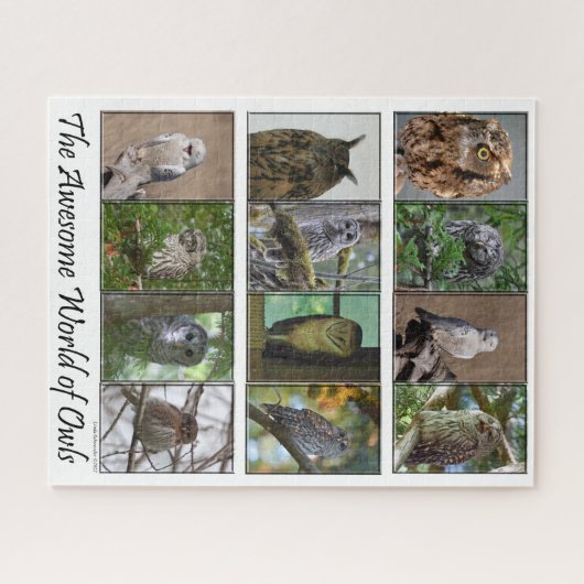 Die Phantastische Welt des Owls-Puzzles Puzzle (Horizontal)