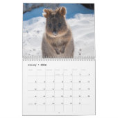 Die Phantastischen Wildtiere Australiens Kalender (Jan 2026)