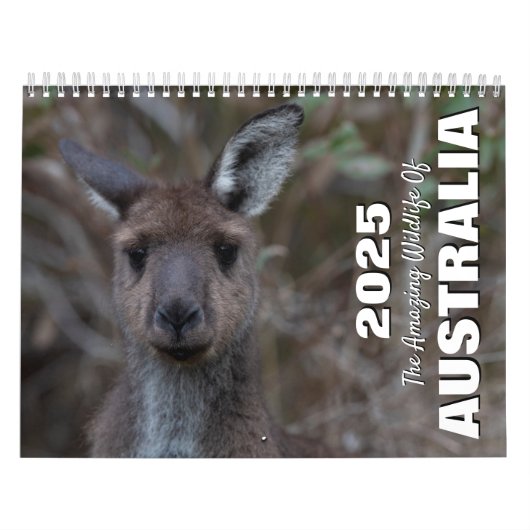 Die Phantastischen Wildtiere Australiens Kalender (Titelbild)