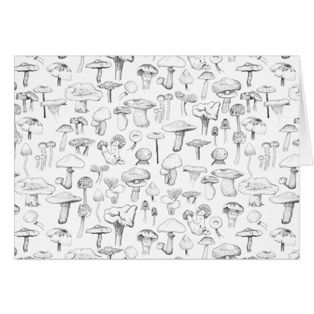 Die Pilz-Gruppe (Vorderseite (Horizontal))