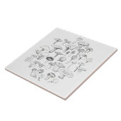 Die Pilz-Gruppe Fliese (Seite)