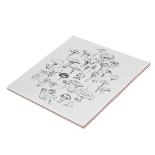 Die Pilz-Gruppe Fliese (Seite)