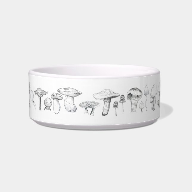 Die Pilz-Gruppe Napf (Links)