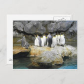 Die Pinguin-Geschichte Postkarte (Vorne/Hinten)