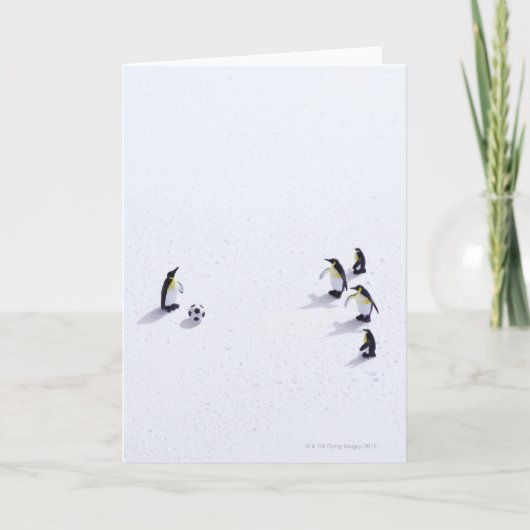 Die Pinguine beim Fußballspielen Karte (Vorderseite)
