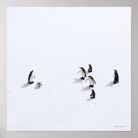 Die Pinguine beim Fußballspielen Poster (Vorne)