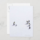 Die Pinguine beim Fußballspielen Postkarte (Vorne/Hinten)