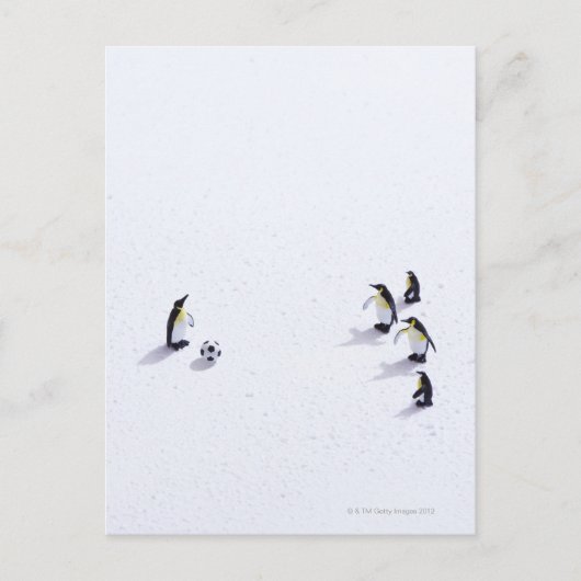 Die Pinguine beim Fußballspielen Postkarte (Vorderseite)