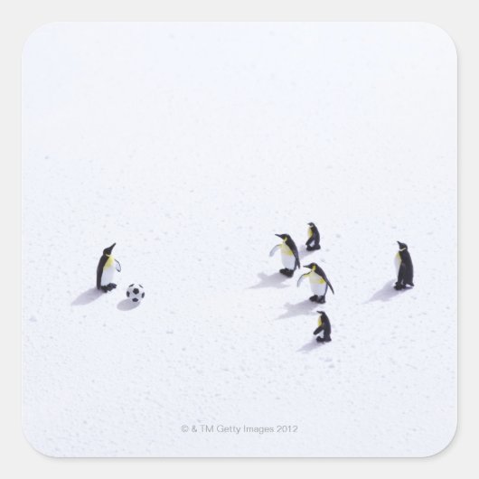 Die Pinguine beim Fußballspielen Quadratischer Aufkleber (Vorderseite)