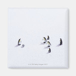 Die Pinguine, die Fußball spielen Magnet