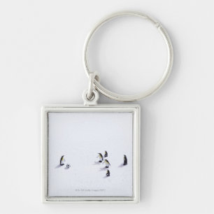 Die Pinguine, die Fußball spielen Schlüsselanhänger