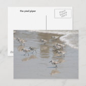 die Piper Postkarte (Vorne/Hinten)
