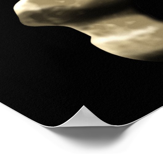 Die Piratenflagge Poster (Ecke)