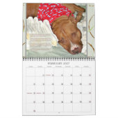 Die Pitbull-Kalender 2014 Leute PBRCS auserlesener Kalender (Feb 2027)