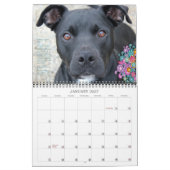 Die Pitbull-Kalender 2014 Leute PBRCS auserlesener Kalender (Jan 2027)