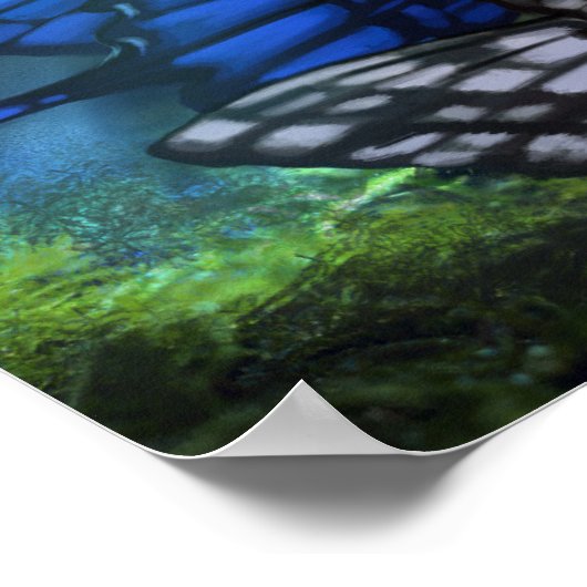 Die Pixie's Queen Print Poster (Ecke)