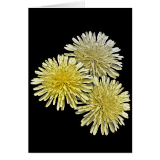 Die Plage der Nachbarschaft