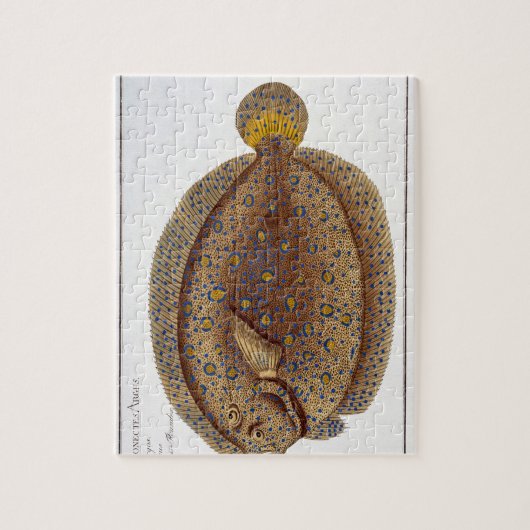 Die Platte XLVI Argus-Scholle (Pleuronectes Argus) Puzzle (Vertikal)
