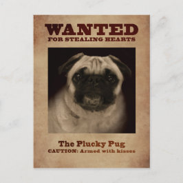 Die Plucky Mops-Postkarte Postkarte