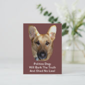 Die Politik des deutschen Schäferhundes wird die W Postkarte (Stehend Vorderseite)