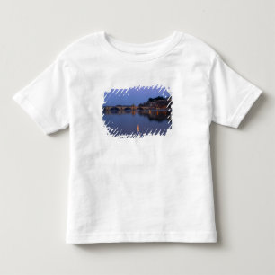 Die Pont St. Benezet-Brücke in Avignon an der Kleinkind T-shirt