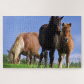 Die Ponys Puzzle (Horizontal)