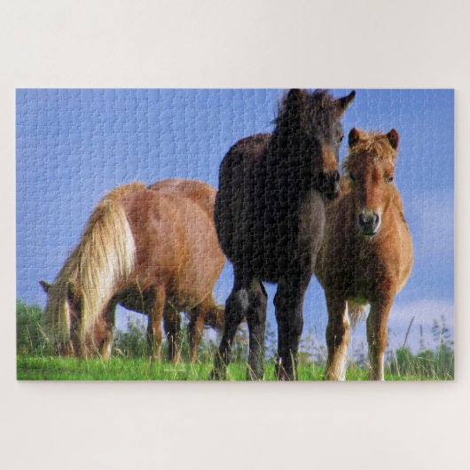 Die Ponys Puzzle (Horizontal)
