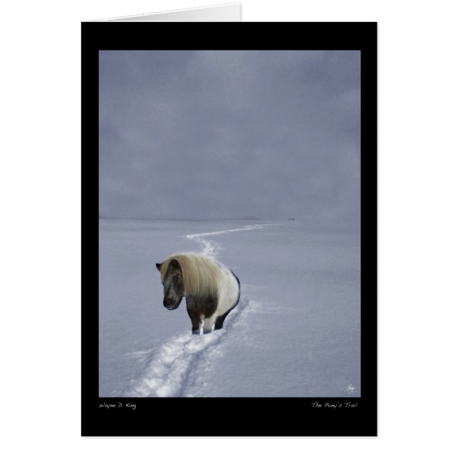 Die Pony's Trail Card (Vorne)