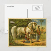 Die Posterkarte des Sultans Postkarte (Vorne/Hinten)
