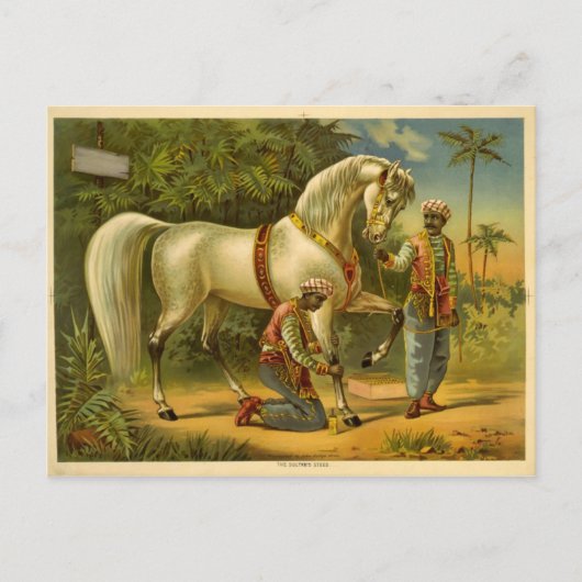 Die Posterkarte des Sultans Postkarte (Vorderseite)