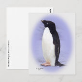 Die Postkarte Ade'lie Pinguin (Vorne/Hinten)