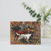 Die Postkarte der drei Setter (Stehend Vorderseite)