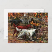 Die Postkarte der drei Setter (Vorne/Hinten)