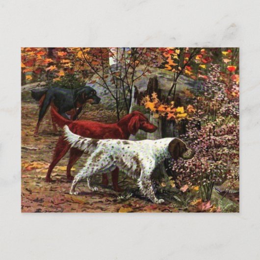 Die Postkarte der drei Setter (Vorderseite)