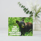 Die Postkarte der Großen rauchigen Berge (Stehend Vorderseite)