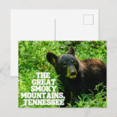 Die Postkarte der Großen rauchigen Berge (Vorne/Hinten)