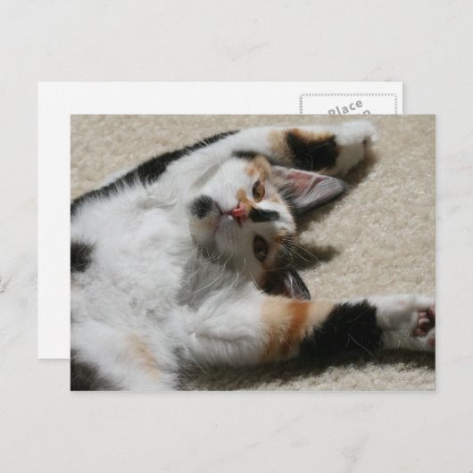 Die Postkarte der Hoffnung (Vorne/Hinten)