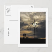 Die Postkarte des Hundes (Vorne/Hinten)