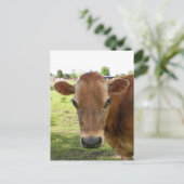 Die Postkarte des Milchexperten (Stehend Vorderseite)