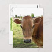 Die Postkarte des Milchexperten (Vorne/Hinten)